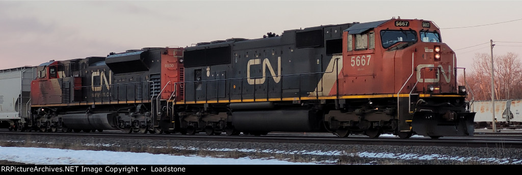 CN 5667 CN 8900